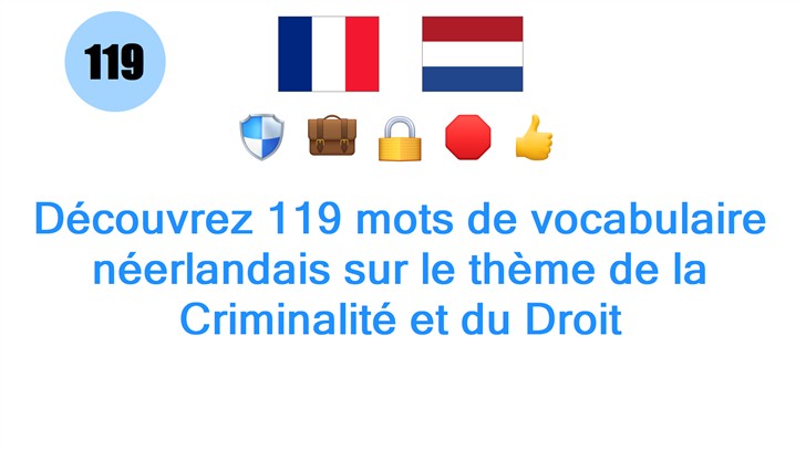 Découvrez 119 mots de vocabulaire néerlandais sur le thème de la Criminalité et du Droit